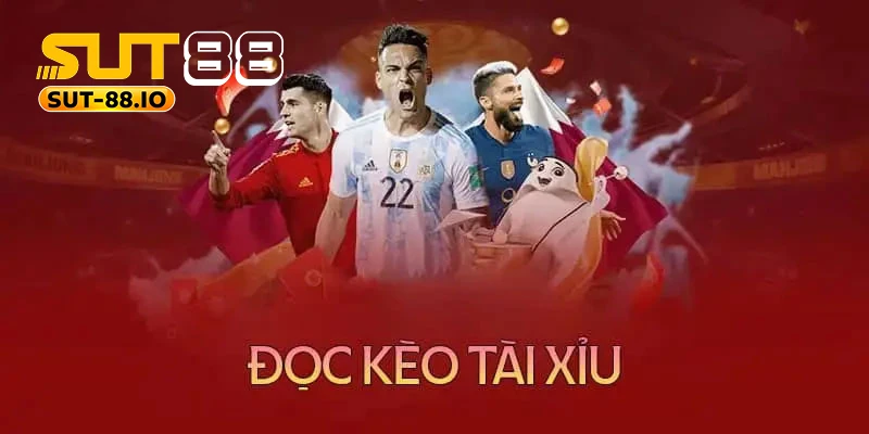 Người chơi cần nắm rõ cách đọc kèo bóng đá tài xỉu Người chơi cần nắm rõ bản chất trước khi đi vào cách đọc kèo bóng đá tài xỉu