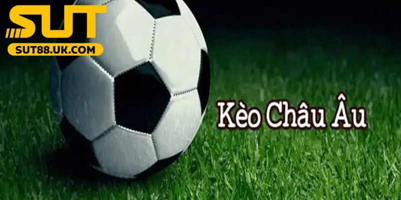 Cách đọc kèo châu Âu Sut88 chuẩn xác cho người mới bắt đầu Kèo châu Âu là gì được nhiều người chơi trực tuyến quan tâm.