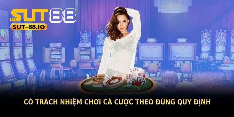 Điều khoản sử dụng SUT88, thông tin cần nắm rõ